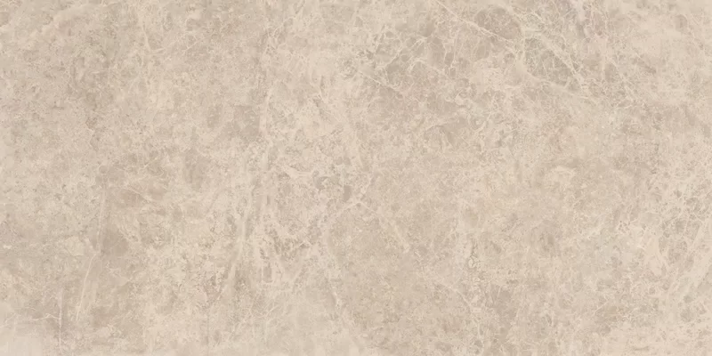ERA DELICATE TAUPE 60X120_03