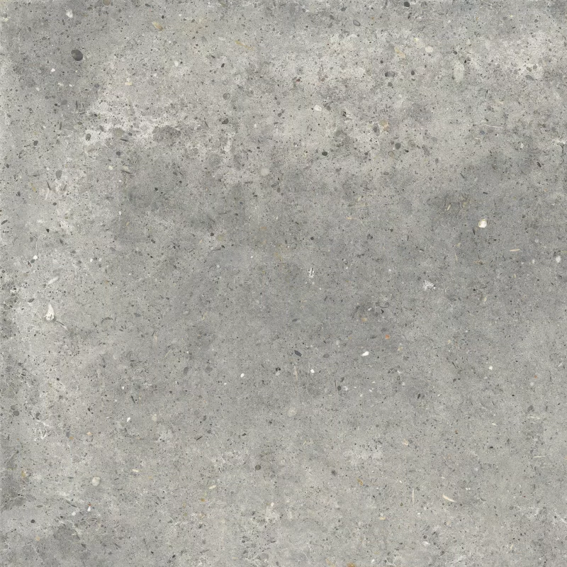 ANIMA GRIGIO 60X60_06