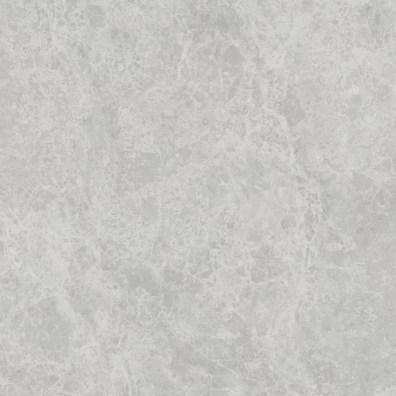 ERA DELICATE ASH 60X60_08