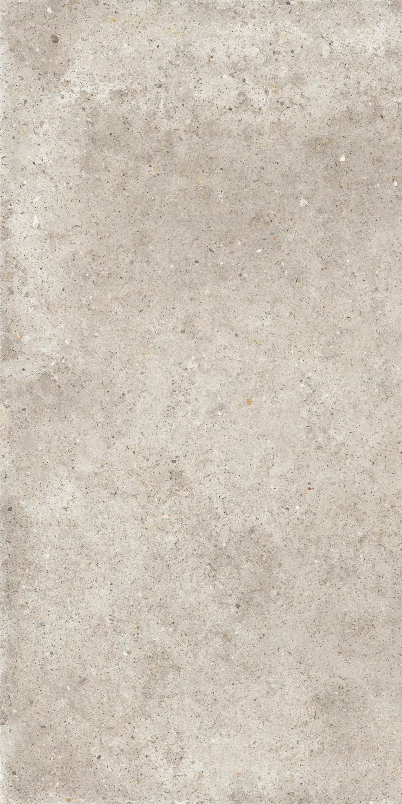 ANIMA BEIGE 60X120_13