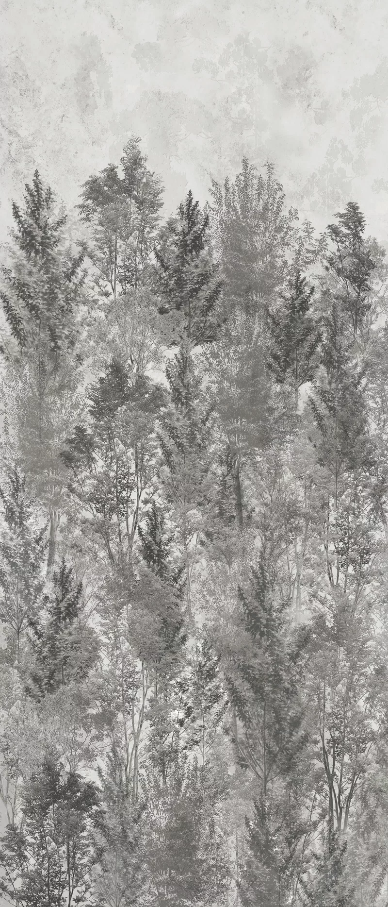 WIDE&STYLE LANDSCAPE 120X280_02