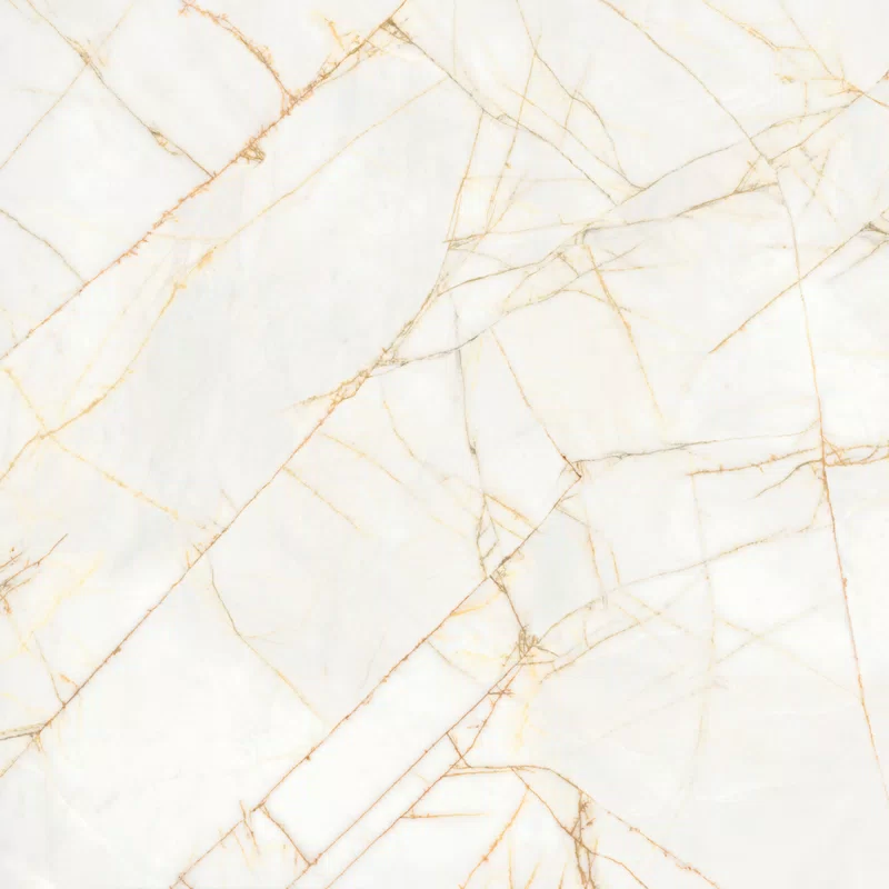 SUPREME HEDONISM GOLDEN SPIDER 120X120_03