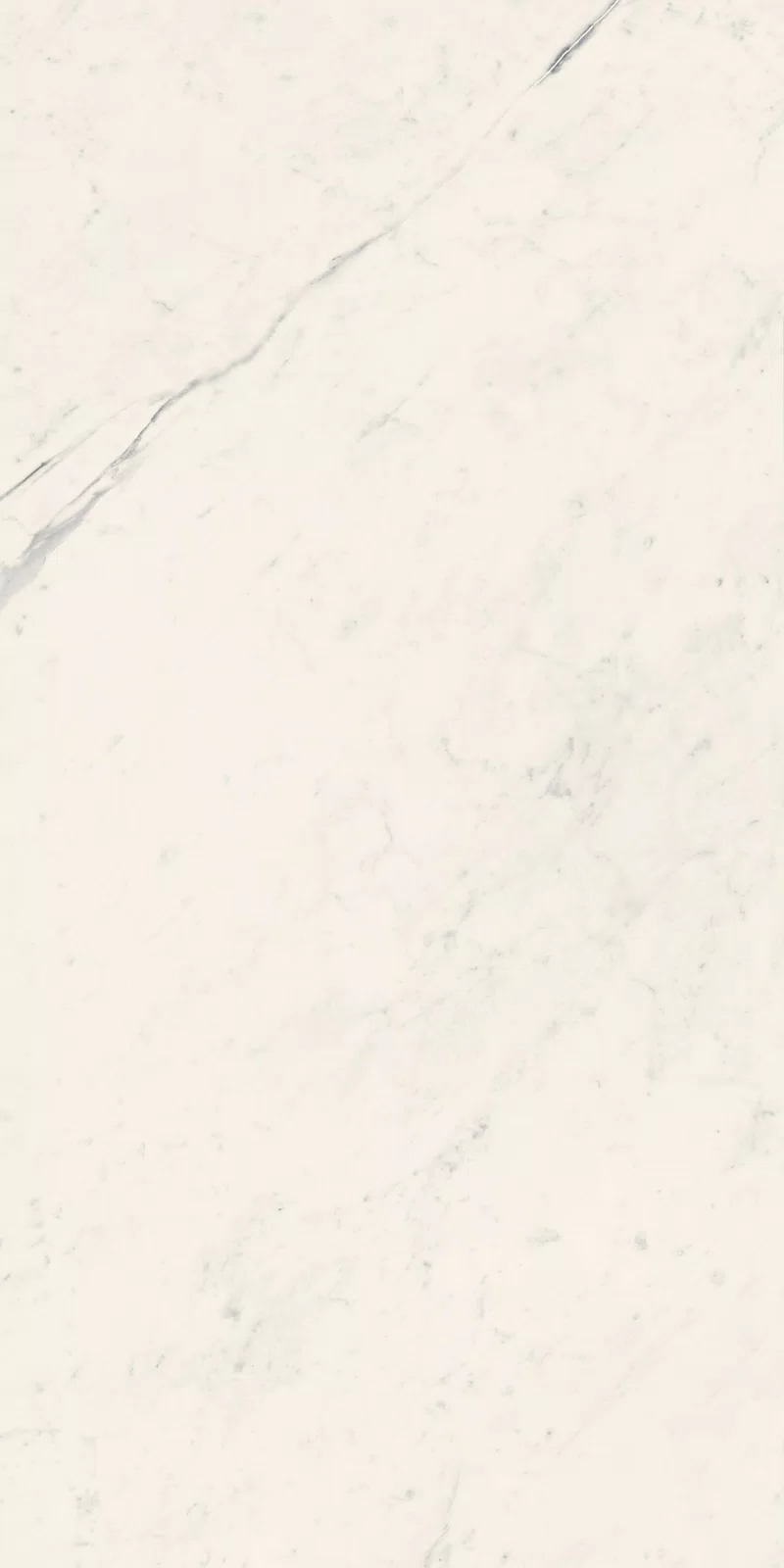LA MARMOTECA_SAHARA WHITE_60X120_15