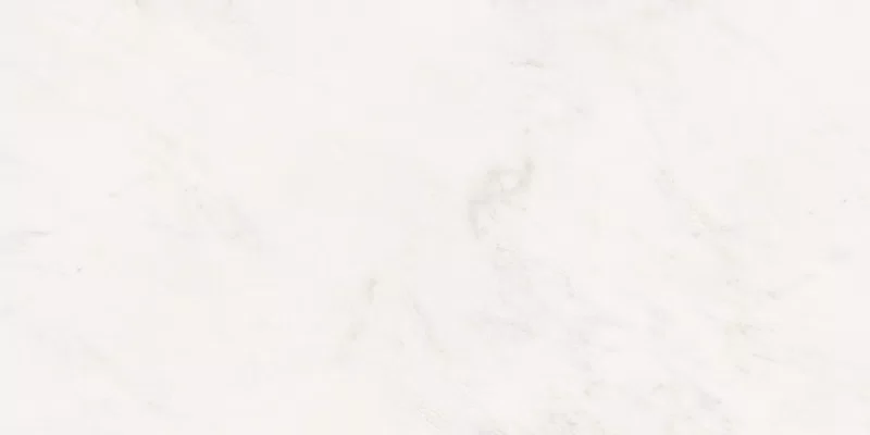 SENSI WHITE RHINO 60X120_09