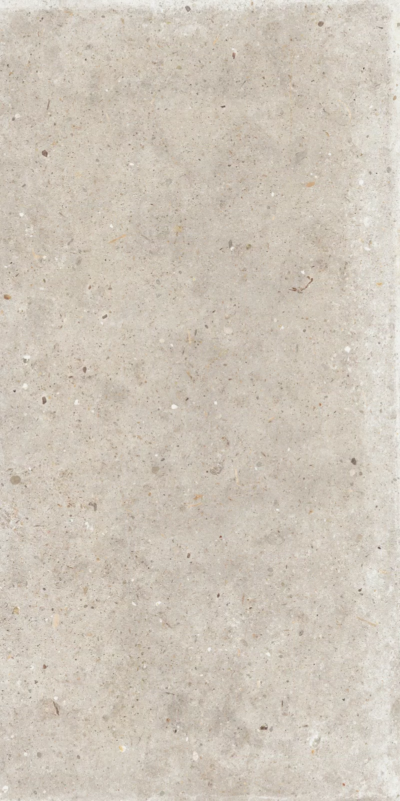 ANIMA BEIGE 60X120_08