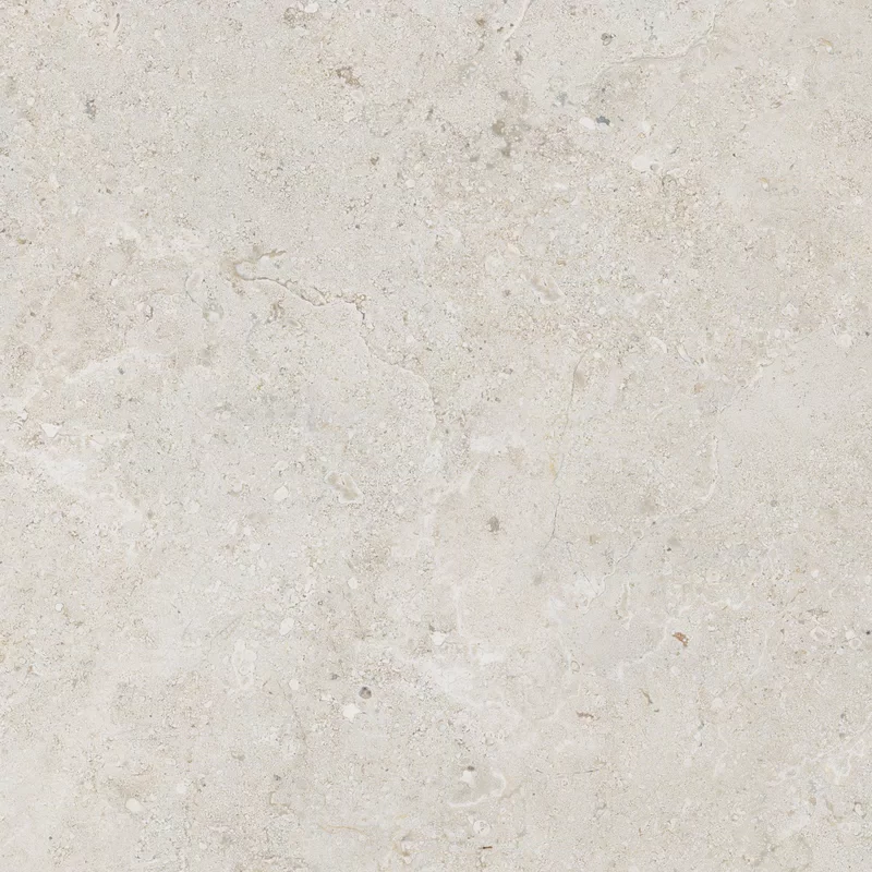 OROSEI BONE 60x60_09