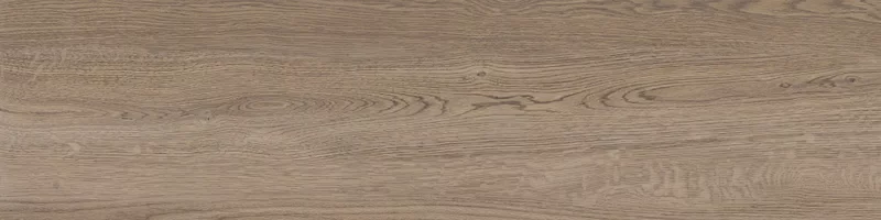 POETRY WOOD OAK 30X120_01