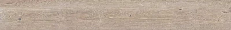 BISCUIT