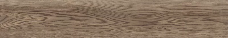 POETRY WOOD OAK 20X120_21