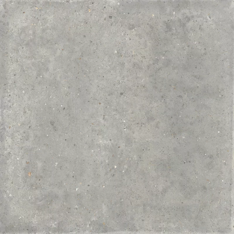 ANIMA GRIGIO 120X120_07