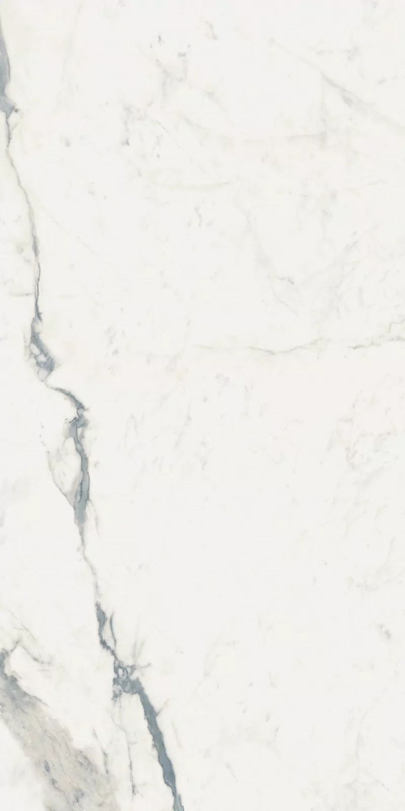 STATUARIO SUPERIOR_60x120_1