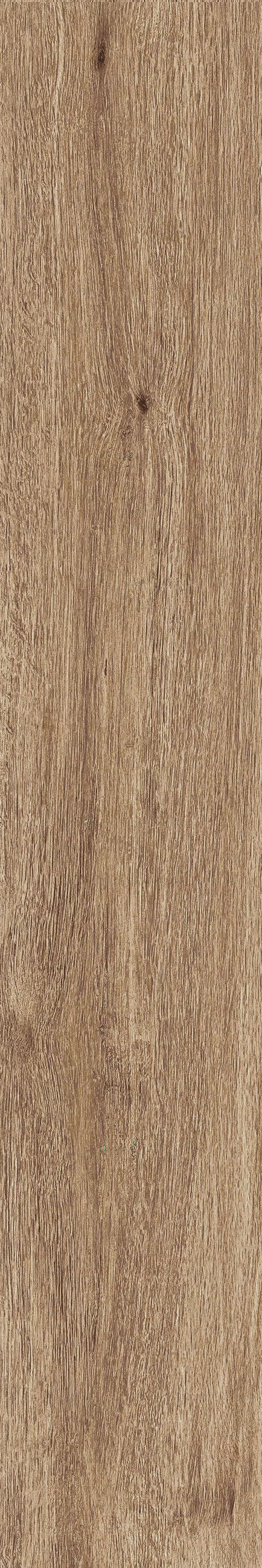 JUST NATURE_BEIGE_SCURO_20x120_3