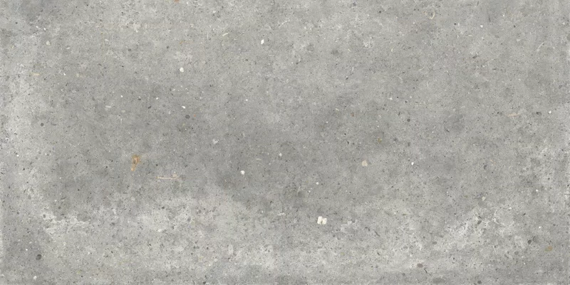 ANIMA GRIGIO 60X120_06