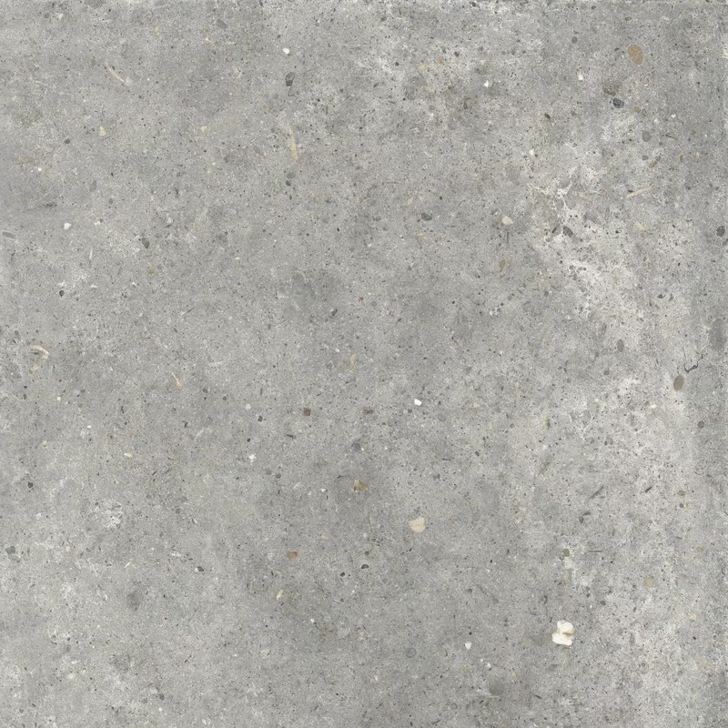 ANIMA GRIGIO 60X60_13
