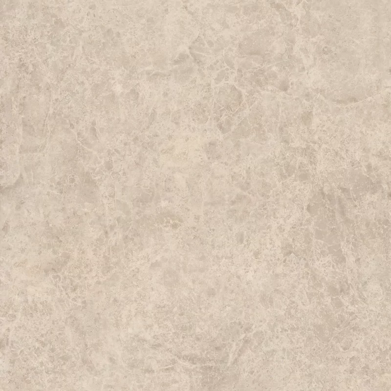 ERA DELICATE TAUPE 120X120_06
