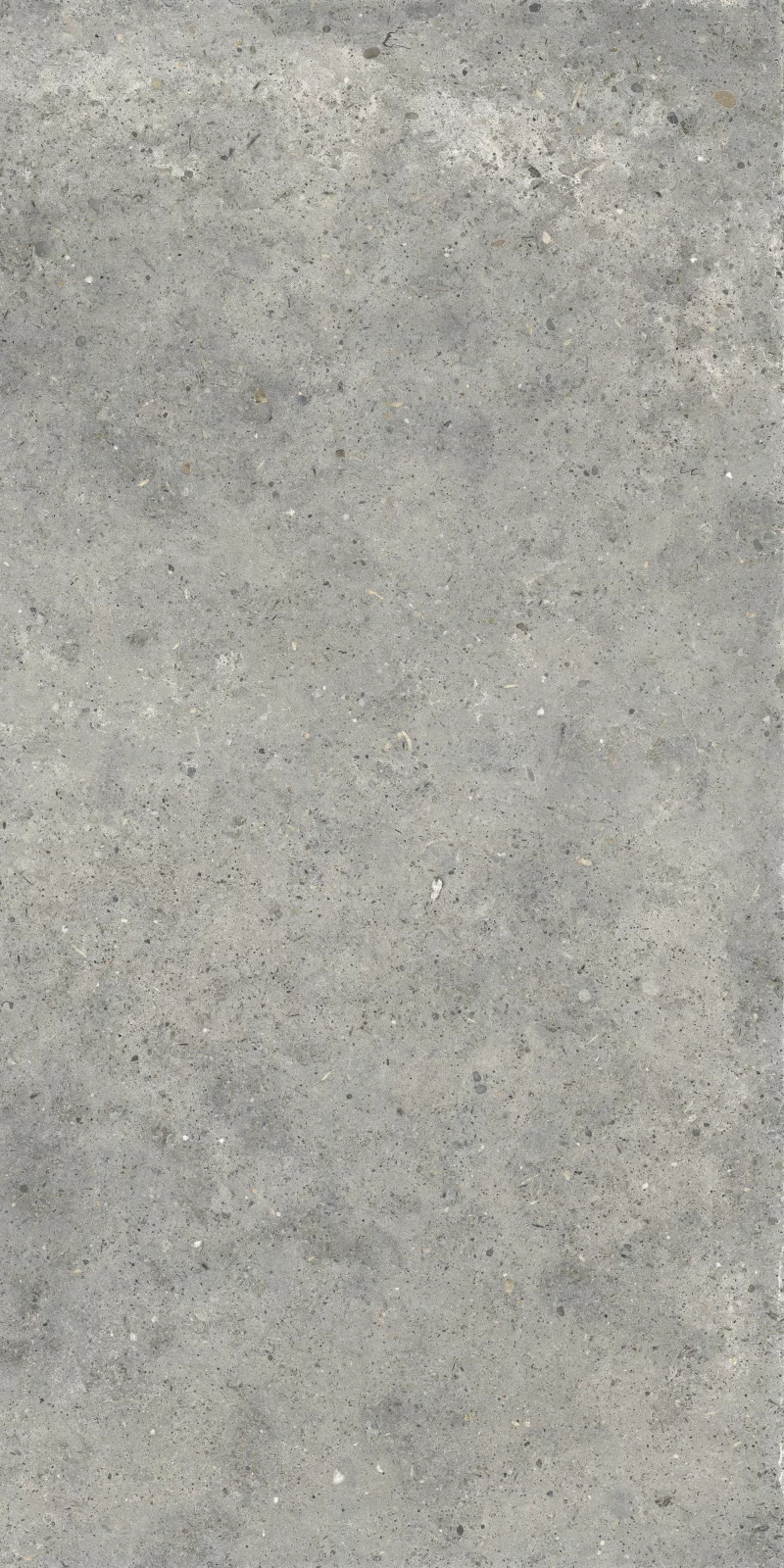 ANIMA GRIGIO 60X120_14