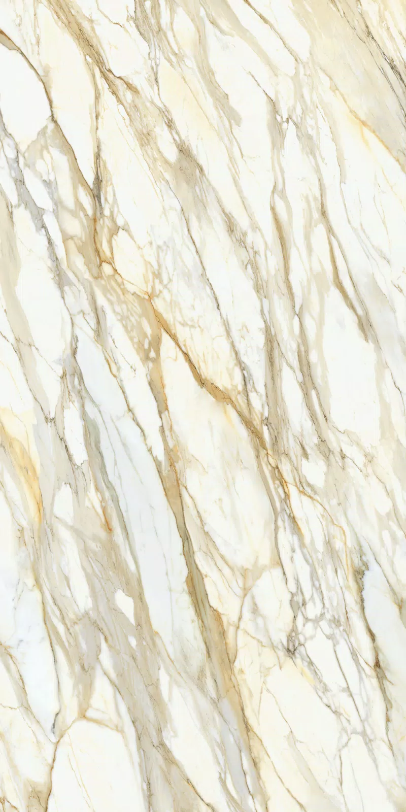 CALACATTA BORGHINI