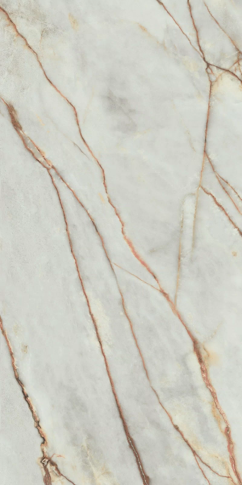 LA MARMOTECA_GREY WONDER 60X120_15
