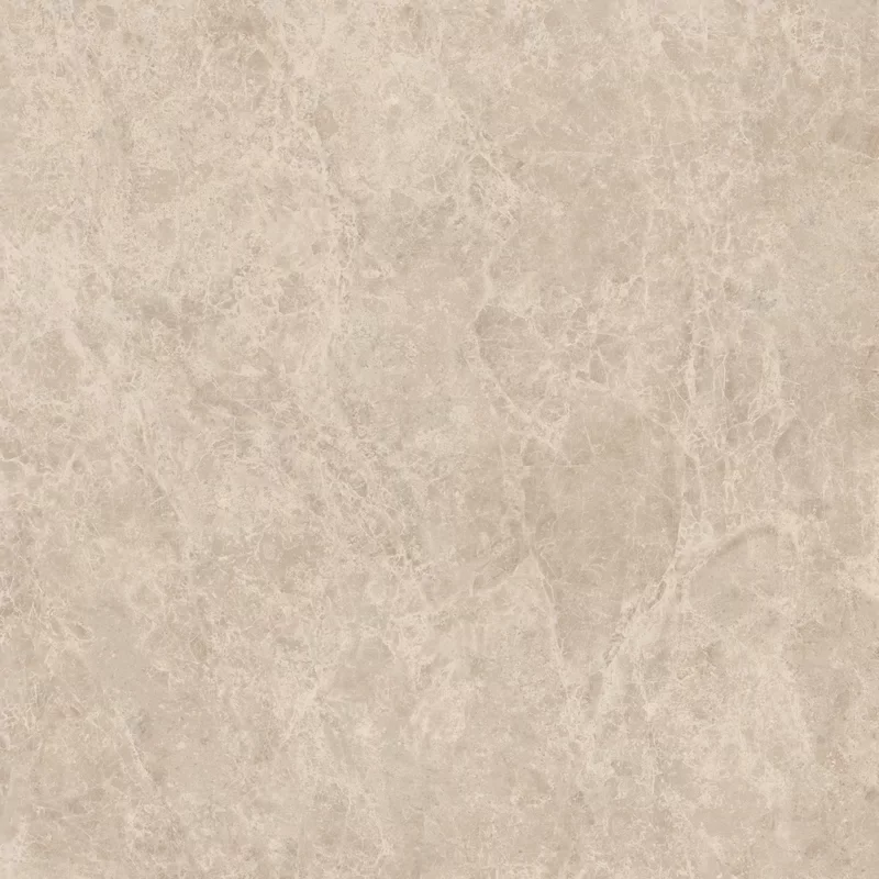 ERA DELICATE TAUPE 120X120_08
