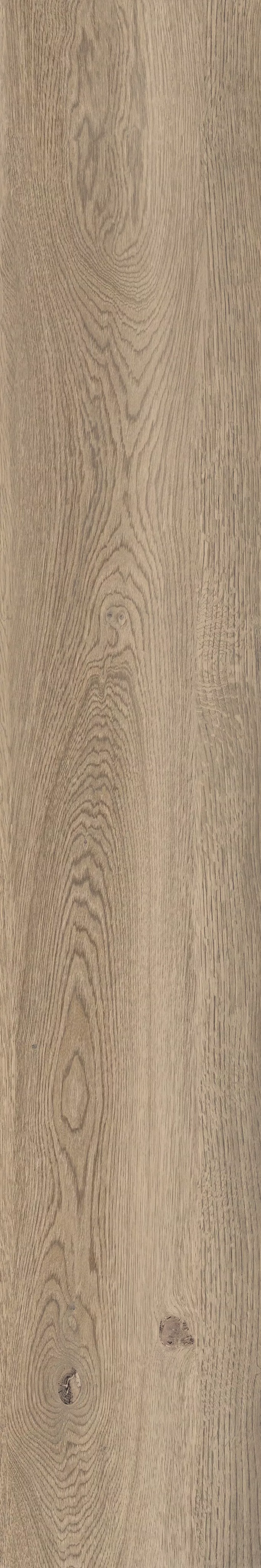 POETRY WOOD OAK