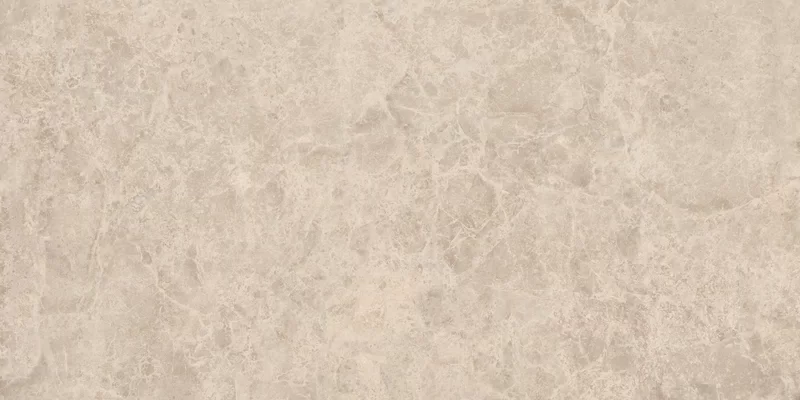 ERA DELICATE TAUPE 60X120_12