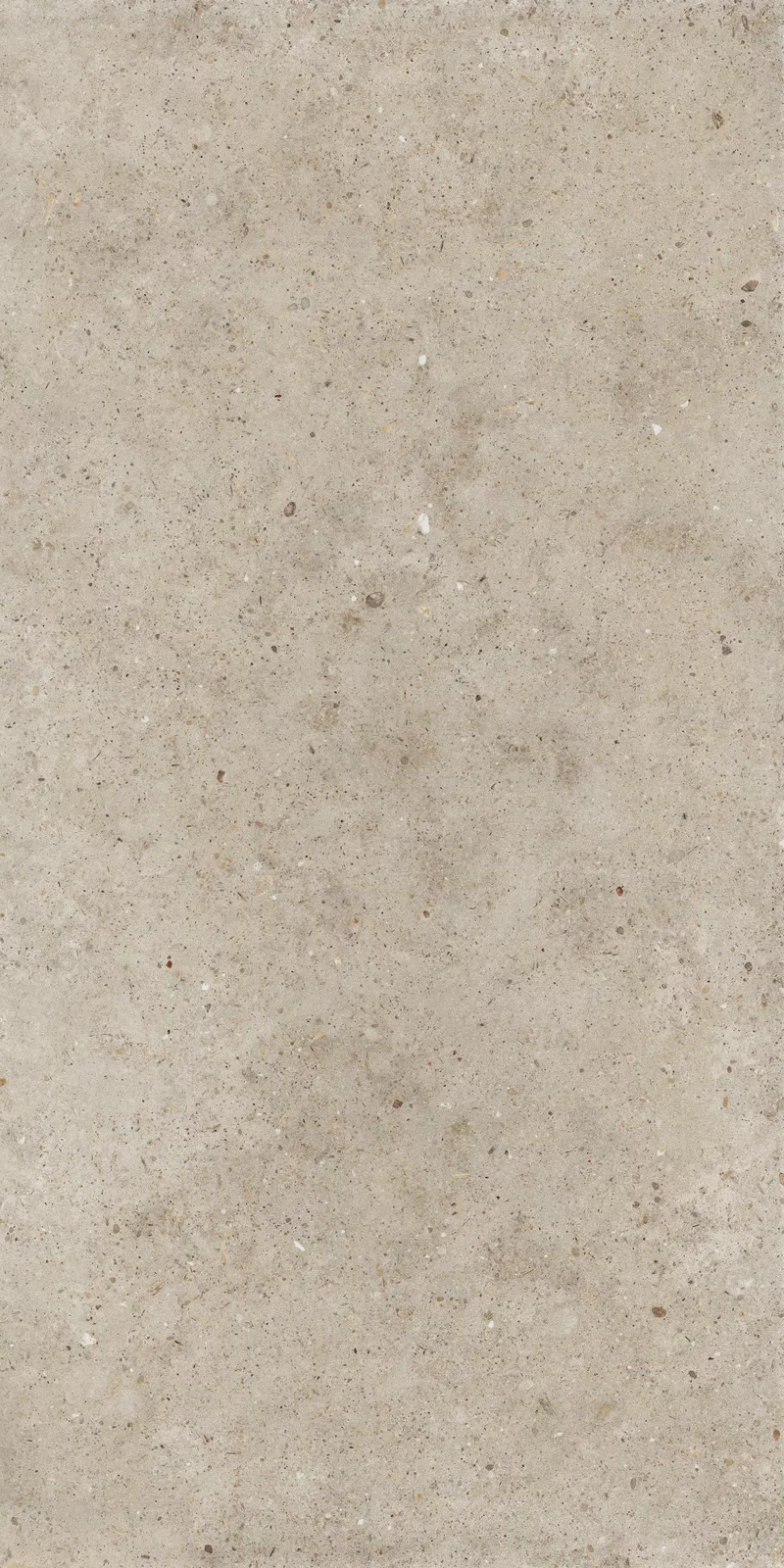X20 ANIMA BEIGE 60x120_04