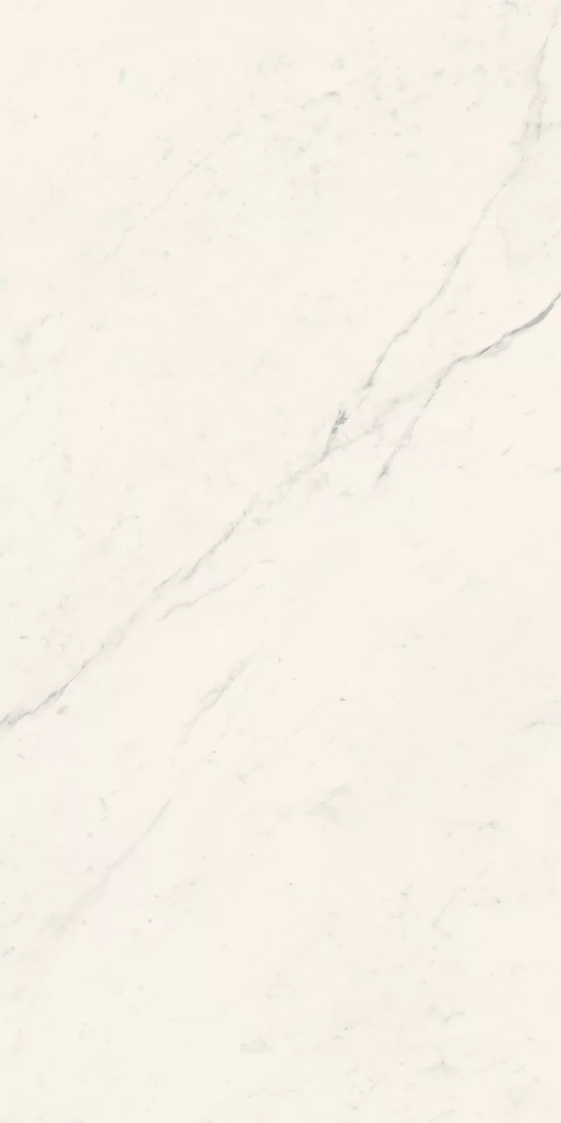 LA MARMOTECA_SAHARA WHITE_60X120_12