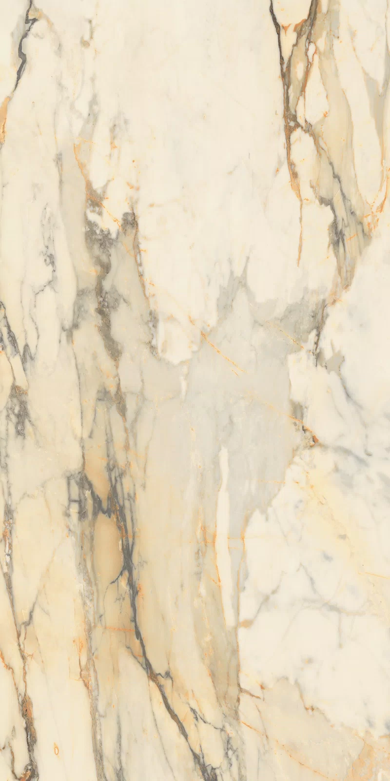 LA MARMOTECA_ANTIQUE BROWN_60x120_08