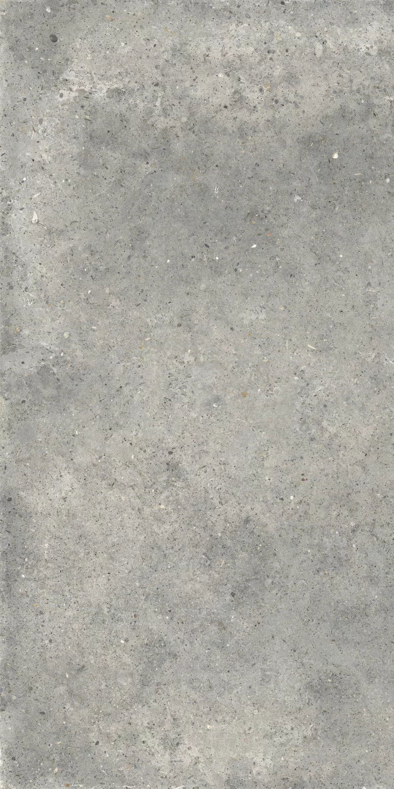 ANIMA GRIGIO 60X120_13