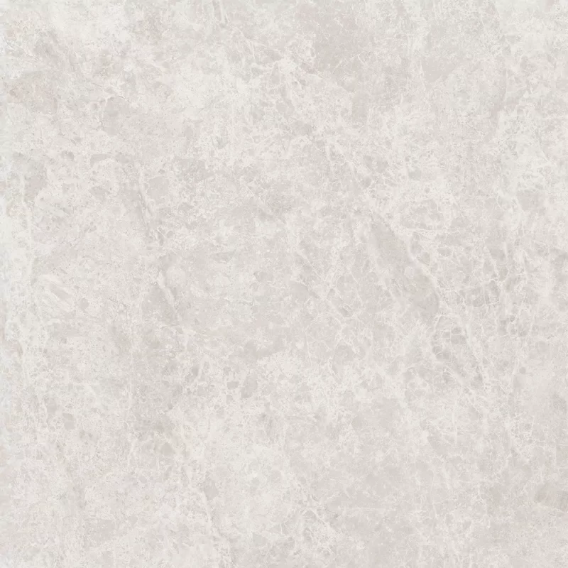 ERA DELICATE IVORY 120X120_09