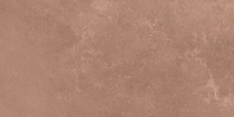 MIDI NATURE TERRE 60X120_14