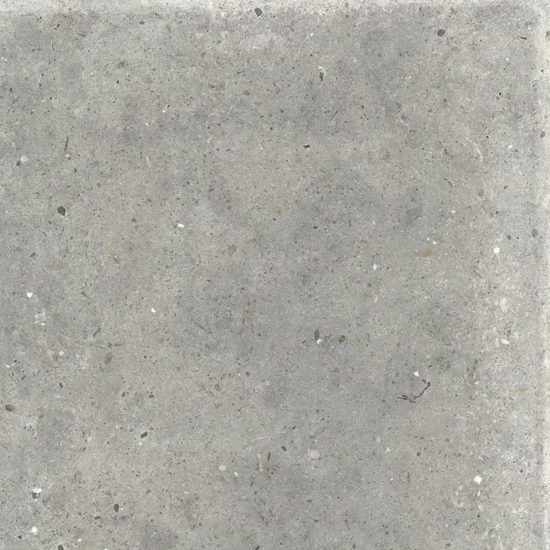 ANIMA GRIGIO 60X60_11