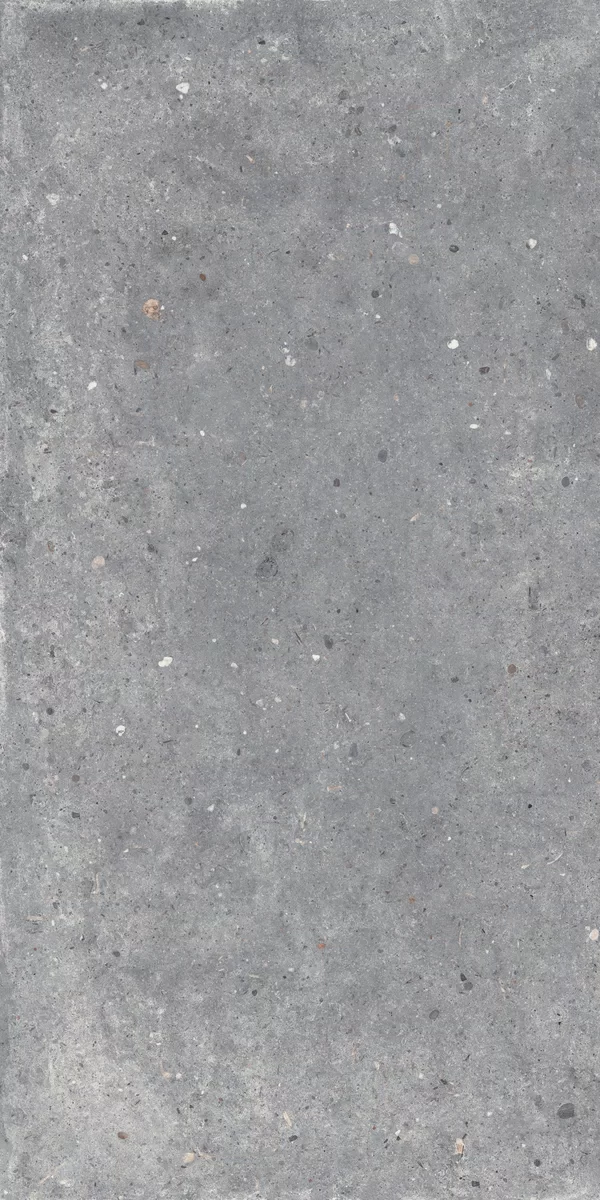 Piastrella X20 Anima Grigio di Flaviker in grigio, finitura R11, 60x120, spessore 20 mm.