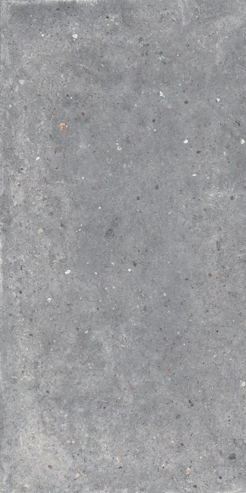 60X120 · R11