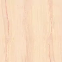 Piastrella effetto legno Beige della collezione Plein Air di Gardenia&Ariana, formato 60x60, finitura R11, bordo Rettificato.