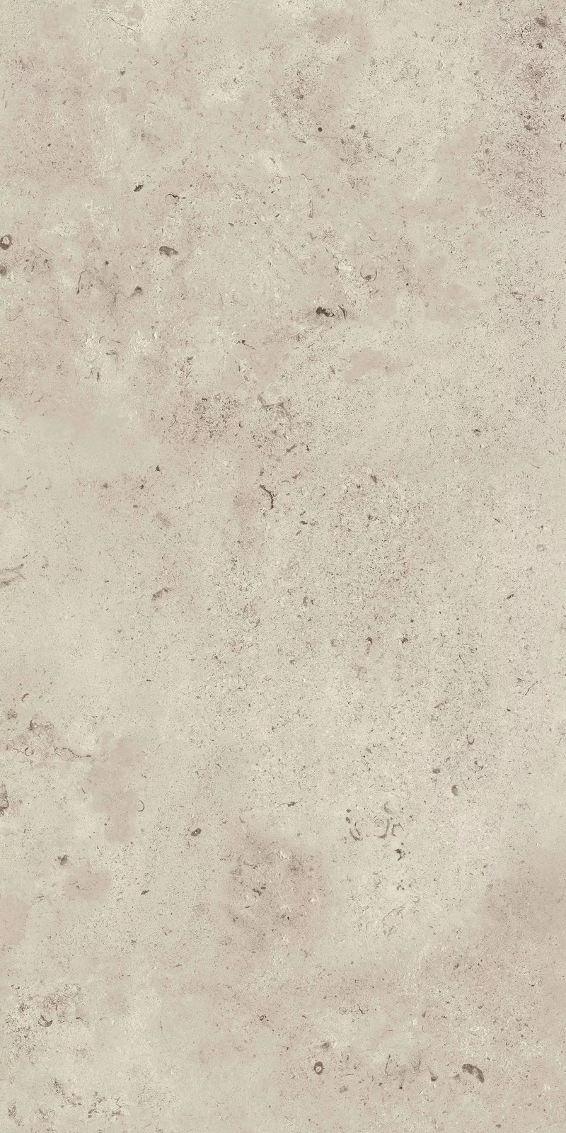 MEMENTO CAMARGUE IVORY 60X120_06