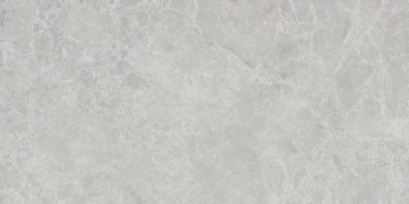 ERA DELICATE ASH 60X120_08