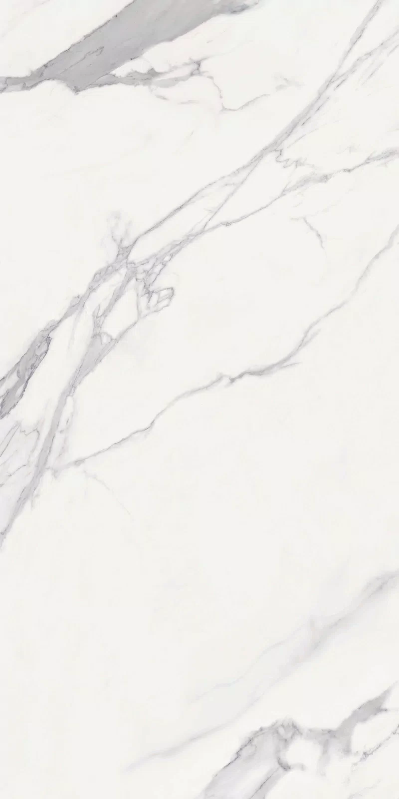 NOBILE STATUARIO 60X120_10