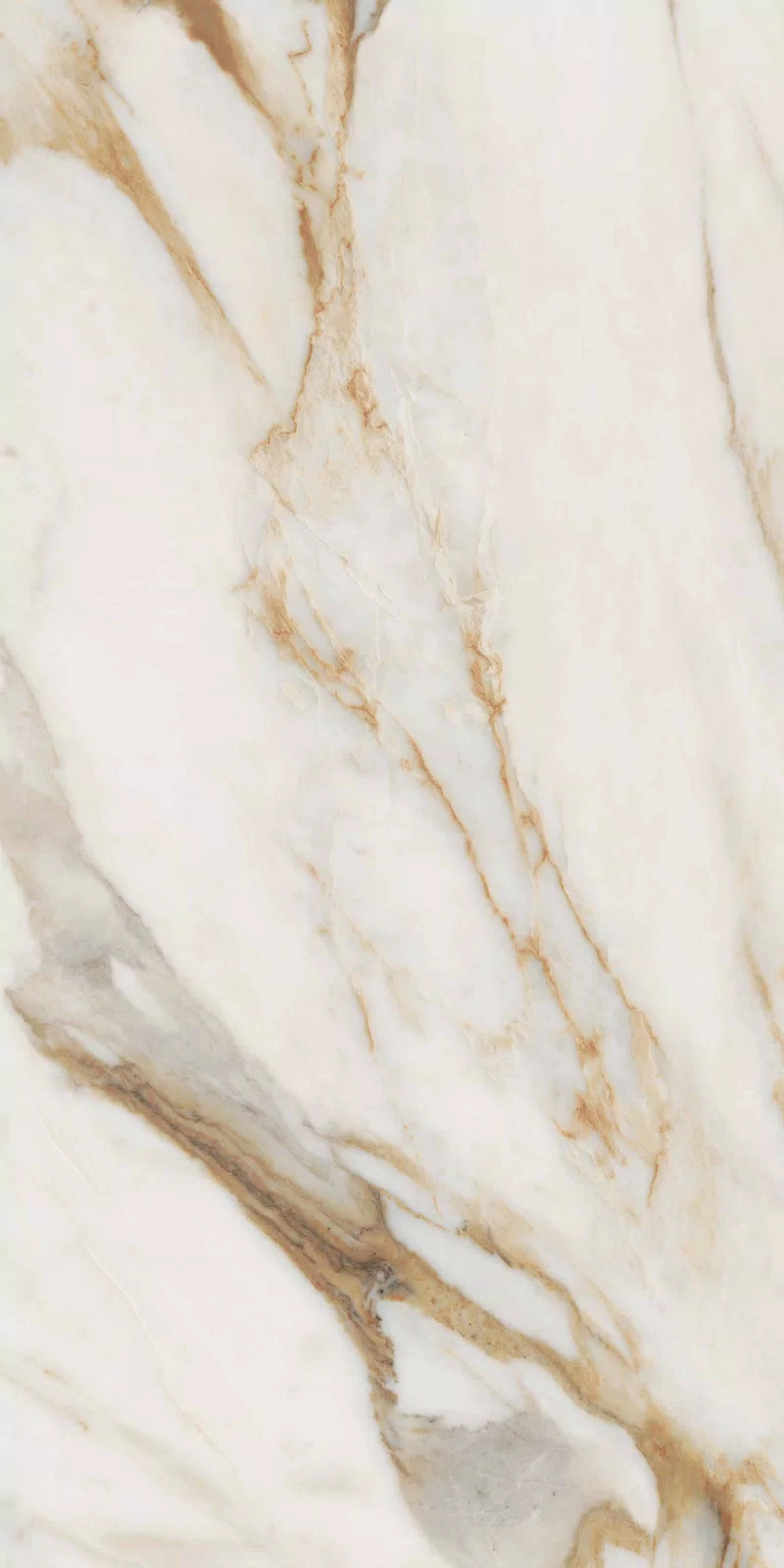 NOBILE CALACATTA 60X120_03