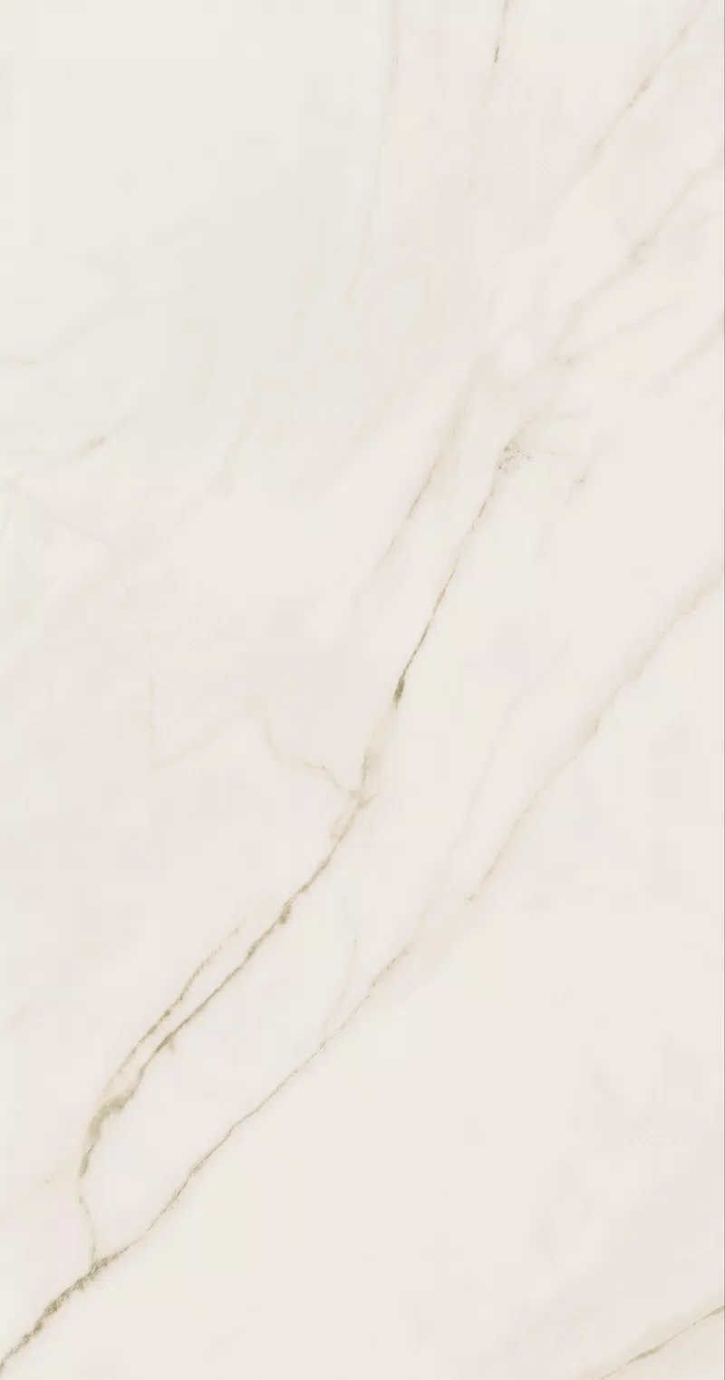 SUPREME EVO CALACATTA EXTRA 60X120_23