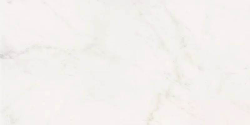SENSI WHITE RHINO 60X120_06