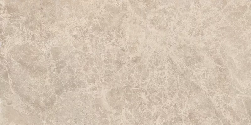 ERA DELICATE TAUPE 30X60_10