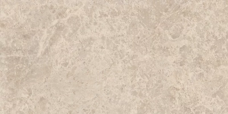 ERA DELICATE TAUPE 30X60_07