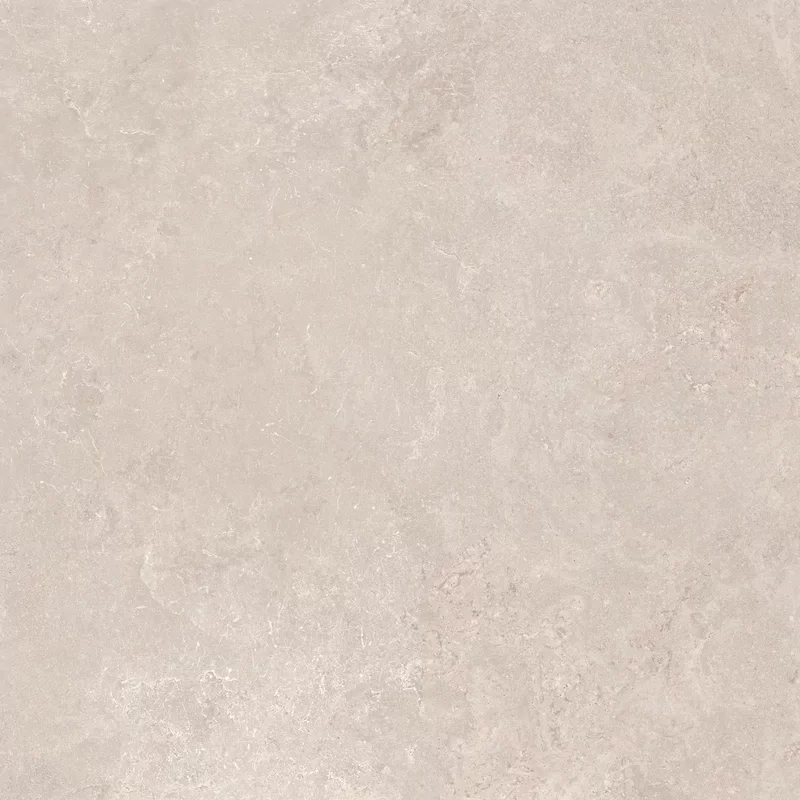 MIDI NATURE POUDRE 60x60_11