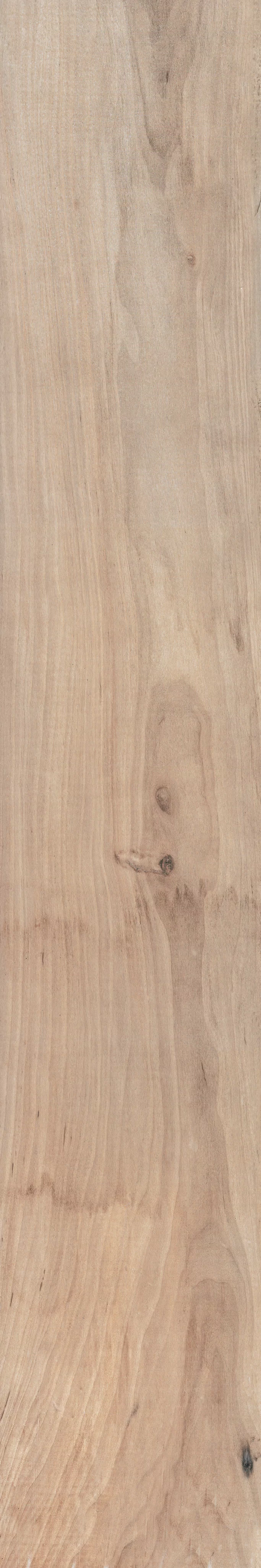 DAKOTA NATURALE 20X120_18