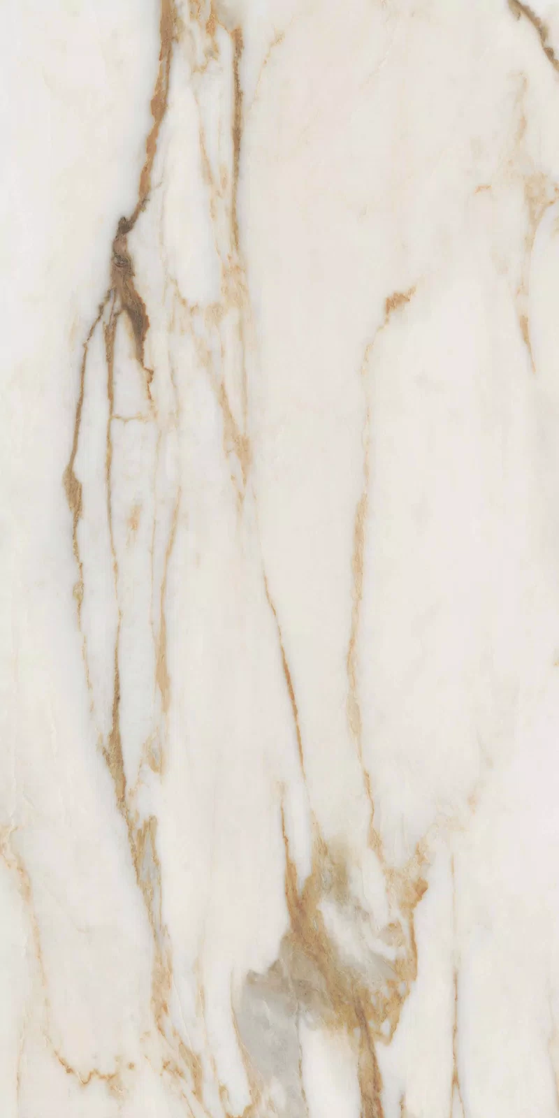 NOBILE CALACATTA 60X120_11