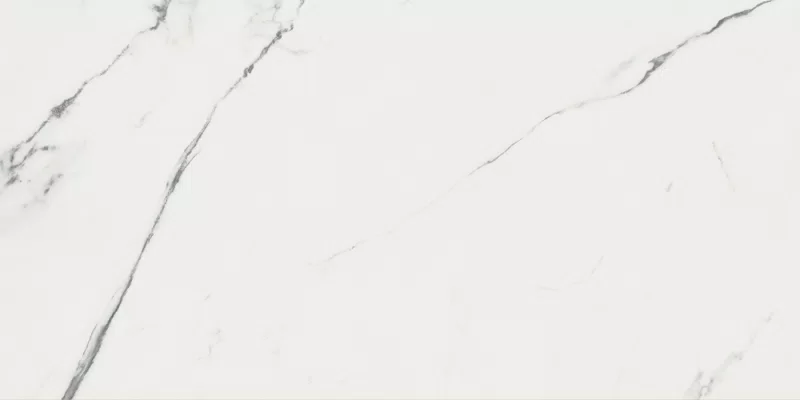 SUPREME EVO PURE STATUARIO 60X120_14