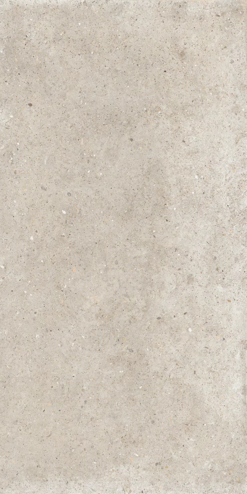 ANIMA BEIGE 60X120_02