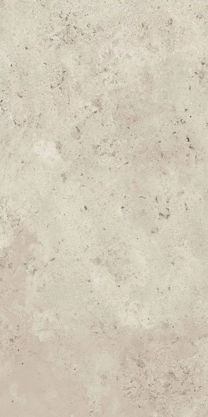MEMENTO CAMARGUE IVORY 60X120_17