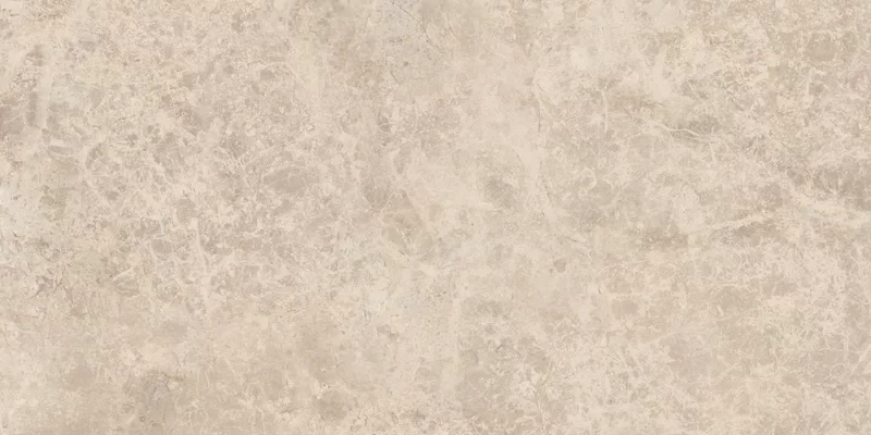 ERA DELICATE TAUPE 30X60_11